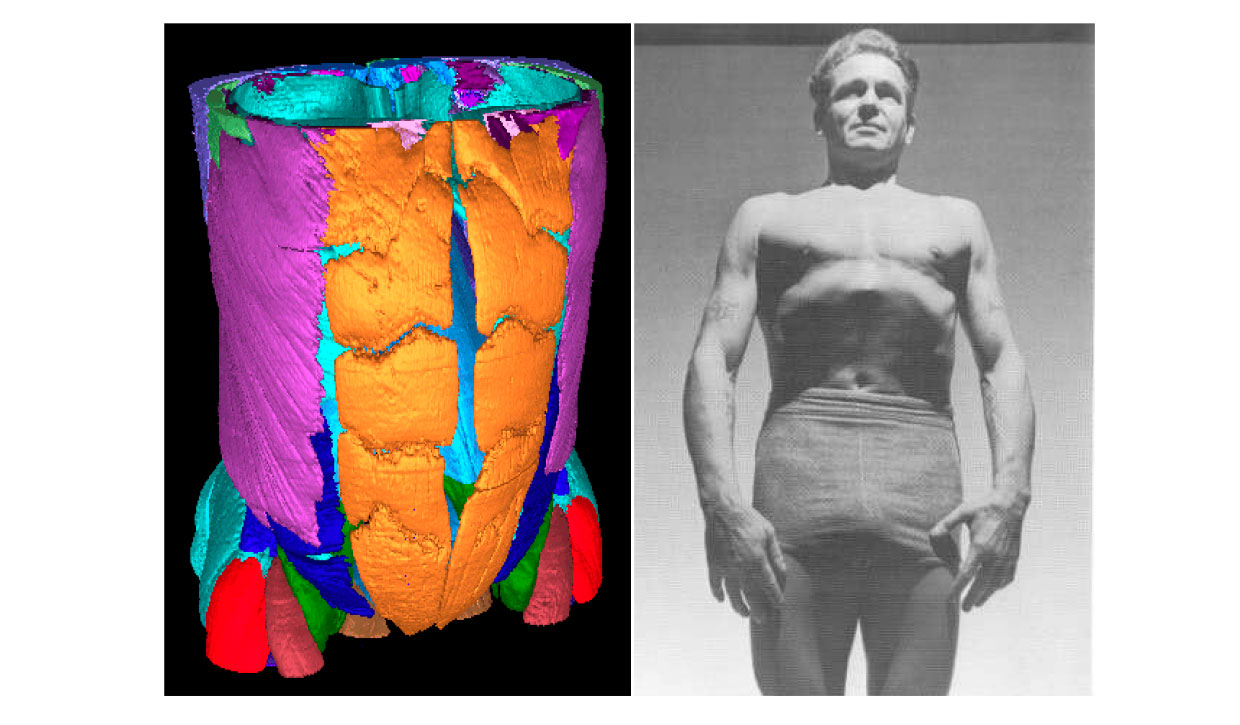 Congreso de Investigación en Pilates / Simposium sobre “La Pared Abdominal»